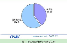 中國互聯網絡信息中心（CNNIC）在計算機軟硬件技術研發中的戰略角色與創新實踐